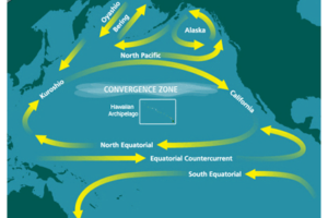 North Pacific Subtropical Convergence Zone